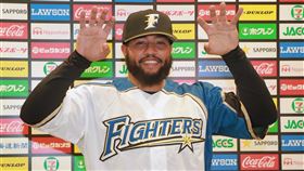 ▲火腿洋砲Ronny Rodriguez。（圖／翻攝自火腿推特）