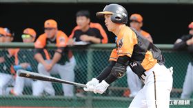▲統一獅二壘手林靖凱。（圖／記者劉彥池攝影）