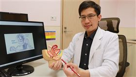 亞大醫院泌尿科主治醫師蕭子玄指出骨盆底肌位置（圖／亞大醫院提供）