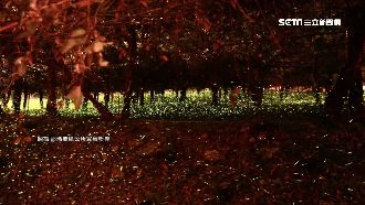 獨／賞螢遊客「亂入祭壇露營」居民怒