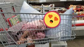 好市多,抱枕,哄睡神器,斷電(翻攝自 Costco好市多 商品經驗老實說)