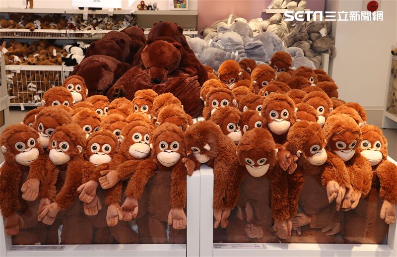 IKEA宜家家居内湖店即將開幕，獨有的特色結合大台北地區小坪數居家空間的展示間需求，展間超好逛服務更完善、設計更環保、親子專屬空間。（記者邱榮吉/攝影）