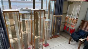 鯊魚劍,獨角鯨牙,海巡署,野生動物保育法,鋸鰩,台南