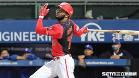 ▲味全龍洋砲赫雷拉。（圖／記者劉彥池攝影）