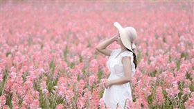 名家專用／台灣旅行趣（勿用）