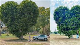 名家專用／台灣旅行趣（勿用）