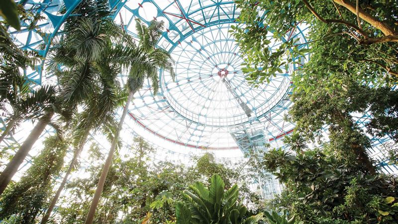 植物作家帶路　尋找台中雨林足跡