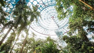 植物作家帶路　尋找台中雨林足跡