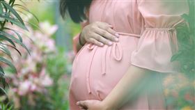 -懷孕-孕婦-（圖／pixabay）