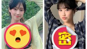 南韓正妹Irene（組合圖／翻攝自auddk_77 IG）