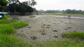 高雄若無梅雨颱風　要有水情因應準備（2）高雄水情4月1日起將轉為減量供水橙燈，高雄市長陳其邁30日指出，6、7月梅雨及颱風若都沒來，將影響全台，所以要做好不同劇本的準備，除中央地方聯合調度水源，也呼籲民眾節水。圖為澄清湖水庫湖底裸露、雜草叢生一景。中央社記者董俊志攝　110年3月30日