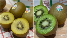 奇異果（圖／記者馮珮汶攝影）