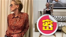 （圖／翻攝自莎朗史東IG）