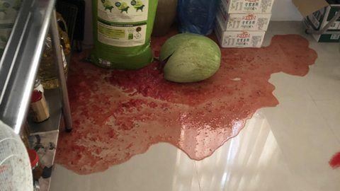 西瓜啪一聲血流成河　網笑：寧死不屈
