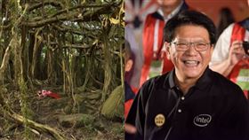 國境之南,屏東,蔡依林,MV,潘孟安,Stars Align,白榕園。(圖/索尼唱片提供索尼唱片提供、臉書)