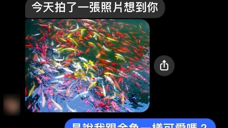 爸出遊突傳魚群照喊：好多魚　兒崩潰