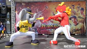 ▲龍象大戰前，兩隊吉祥物小翔、威弟賽前進行羅競技場遊戲。（圖／記者劉彥池攝影）