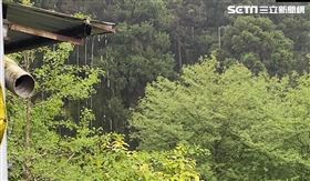 新／溪頭雨來了！「已持續50分鐘」（圖／民眾提供）