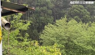 新／溪頭雨來了！「已持續50分鐘」
