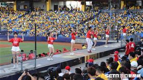 ▲味全龍啦啦隊小龍女在一片黃海中應援。（圖／記者劉彥池攝影）