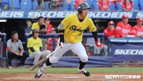 ▲中信兄弟指定打擊周思齊2打數2安打。（圖／記者劉彥池攝影）