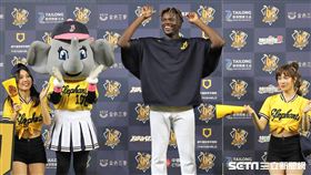 ▲中信兄弟先發投手德保拉7局無失分獲選單場MVP。（圖／記者劉彥池攝影）