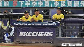 ▲中信兄弟總教練林威助。（圖／記者劉彥池攝影）