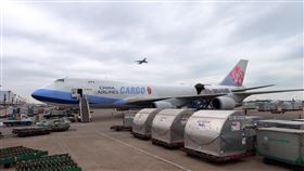 華航貨機(機場公司提供)
