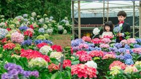 名家專用／台灣旅行趣（勿用）