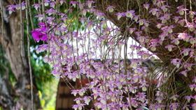 名家專用／台灣旅行趣（勿用）