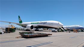 面對全球疫情，桃園國際機場貨運表現持續亮眼。（圖／桃機公司提供）