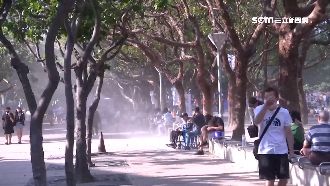 獨／台中野餐驚見沙塵暴　張嘴全是沙