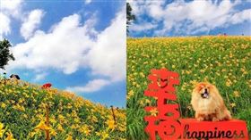 名家專用／台灣旅行趣（勿用）