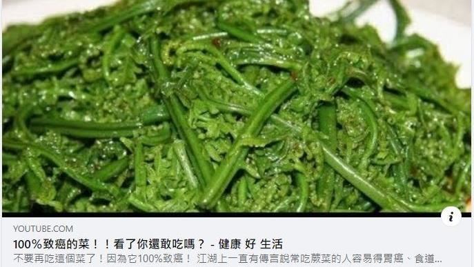 過貓100%會致癌？專家出面解釋