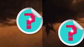 監視器拍到一隻巨大詭異生物，四肢呈90度街上快速行走。（圖／翻攝自reddit）