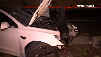 特斯拉衝人行道　疑輾30公分石失控