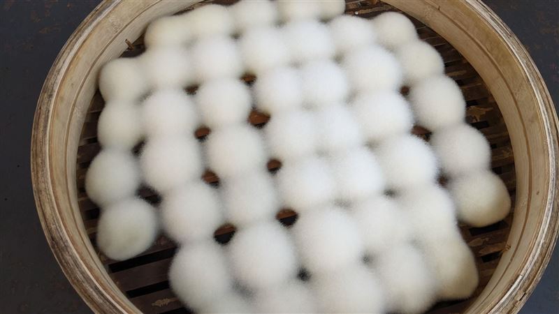 非典型藝術創作　挑戰藝術全新宇宙觀