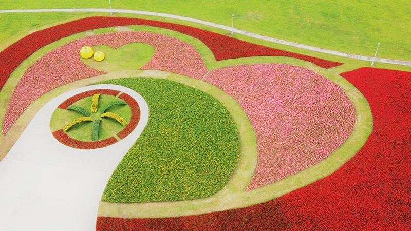 中正河濱公園花海　彷彿置身童話世界