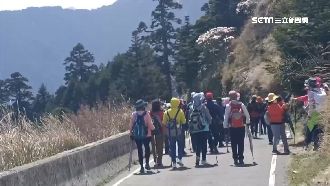 合歡山賞杜鵑　婦人高山症發作急吸氧