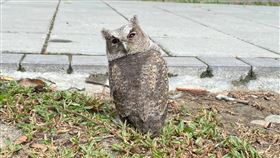 山上花園水到公園,台南市,山上