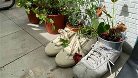 奶茶色又髒又舊！阿嬤以為不要了（圖／翻攝自爆廢公社）