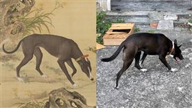 投胎轉世,吸血鬼,乾隆,墨玉螭,《畫十駿犬墨玉螭》,故宮,家犬