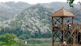 ▲連假將到，快點幫自己安排一段微旅行!（圖／業者提供）