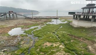 鳥叫超大聲！日月潭降雨重現朦朧美景