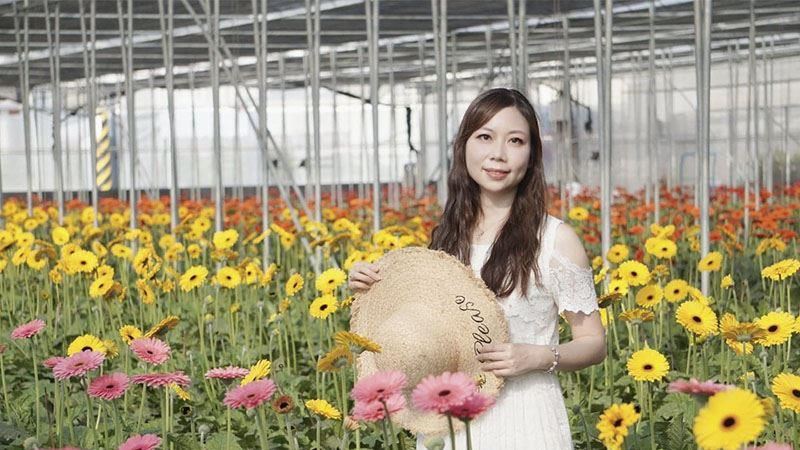 彰化康乃馨盛開中　帶媽媽來看花海！