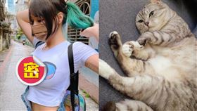 泥泥學姐,貓,阿嬤養的貓,101