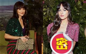 達柯塔強森（Dakota Johnson）。（圖／GUCCI提供）