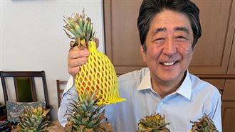 安倍晉三曬台灣鳳梨 高雄市:我們的