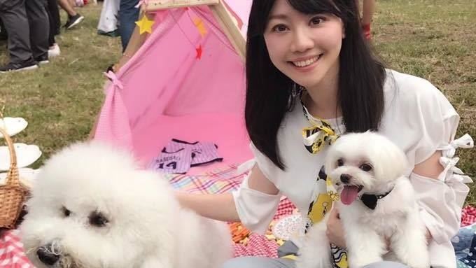 3年6000件動保案　高嘉瑜嘆這事
