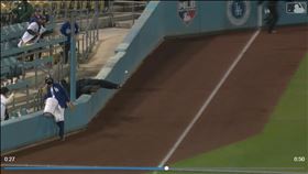 ▲道奇球僮閃球摔進觀眾席。（圖／翻攝自Cut4推特）